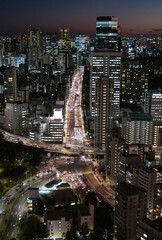 Fototapeta premium Tokyo Cityscape