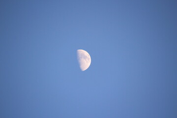 上弦の月