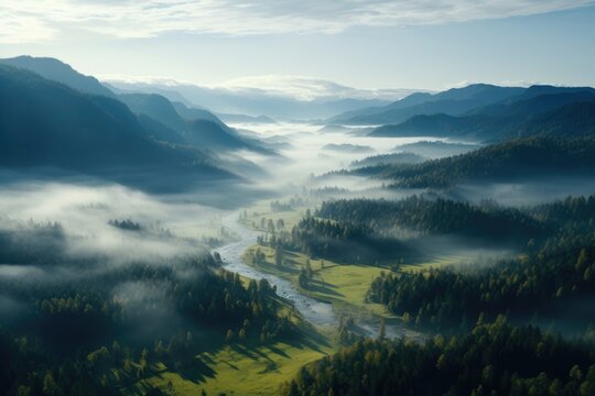 Aerial view of a forest covered with mist and a river flowing through the forest, green forest