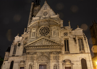 Fototapeta premium A night close up of the Sainte Genevieve church, Paris