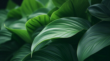 Green Tropical Plant Close-Up - Abstract Natural Flora Macro Photography