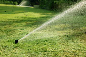 Sprinkler of automatic watering. Watering the lawn with an automatic irrigation system. Gardening.