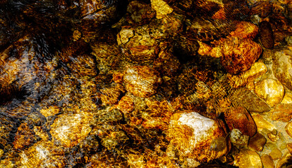 golden rocks under crystal clear water