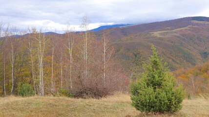 autumn in the mountains