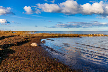 Baltic sea shore. Matsi beach, Estonia, Europe.