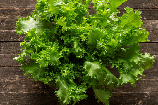 Curly endive (Cichorium endivia) also known as frisee. Fresh leafy vegetable.