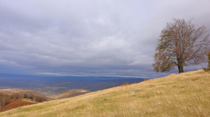 autumn in the mountains