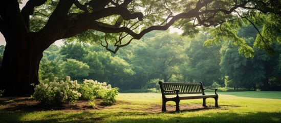 In the old wood park a natural and relaxing outdoor bench sits amidst the green garden providing a fresh air experience and a green park background for those seeking solace in nature - Powered by Adobe