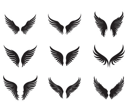 Wing drawing, wing set, wing drawings suitable for Tattoo Art, ready to print, eps, re-editable visual