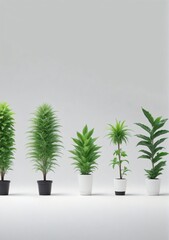 Collection Of Plants Isolated On A White Background