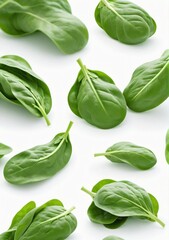 Fototapeta premium Set Of Spinach Isolated On A White Background