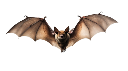 Flying bat isolated on transparent background, image with background removed, created with Generative Ai technology.