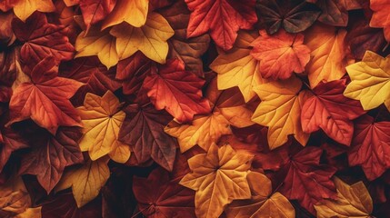 Autumn leaves background.Generative AI