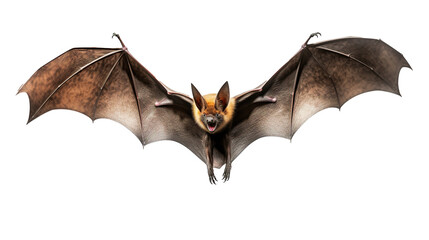 Flying bat isolated on transparent background, image with background removed, created with Generative Ai technology. - obrazy, fototapety, plakaty