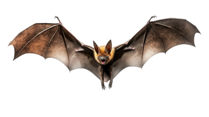 Flying bat isolated on transparent background, image with background removed, created with Generative Ai technology.