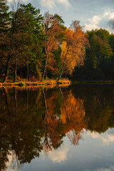 Beautiful Polish golden autumn. Trees shedding their leaves over the water