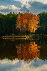 Beautiful Polish golden autumn. Trees shedding their leaves over the water