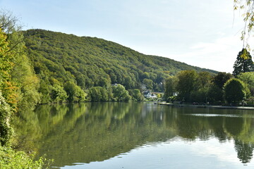 Reflet de la végétation et collines dans les eaux de la Meuse à Lustin au sud de Namur 