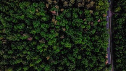 Aerial view of a highway surrounded with forest trees
