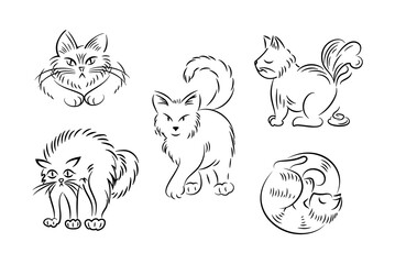 Set of cats in different poses in sketch style. Pets. The cat hisses, sleeps, poops, walks. For stickers, posters, postcards, design elements.