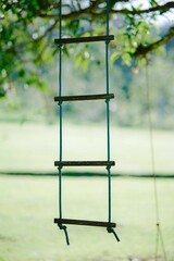 Vertical closeup shot of a hanging rope ladder on a tree
