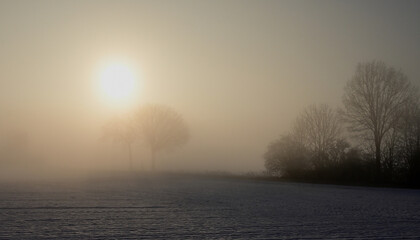 Nebel, Morgenfrüh, Kalt