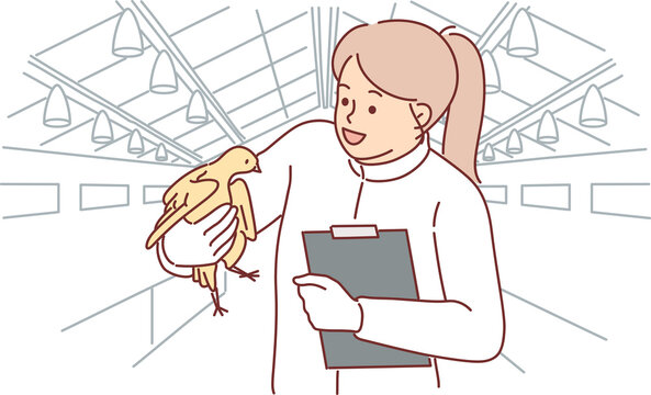Woman veterinarian with chicken in hands works at poultry farm checking chickens for infections