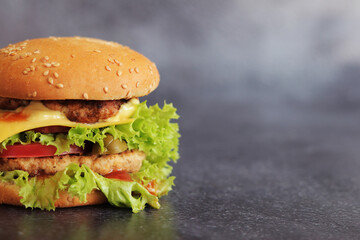 Double cheeseburger on a gray background. Juicy tasty burger close-up, side view. Fast food. Copy space