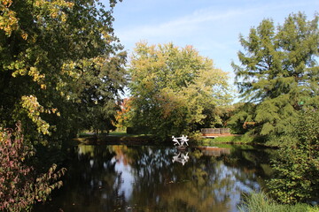 Teich im Kurpark Bad Bevensen