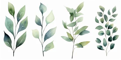 Fotobehang Watercolor floral illustration set - green leaf branches collection, for wedding stationary, greetings, wallpapers, fashion, background. Eucalyptus, olive, green leaves, Generative AI © Visual Vortex