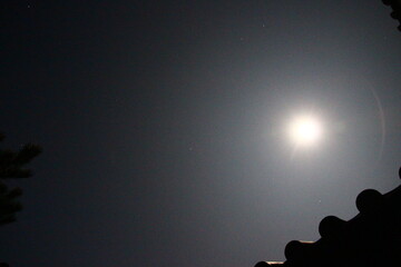 満月　月夜