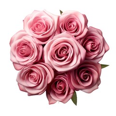 Bouquet of pink roses. isolated on white background