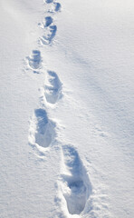 Footprints on the snow in winter.