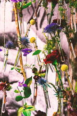 Flowers in glass test tubes. Flower composition. Flowers in test tubes hanging on a rope.