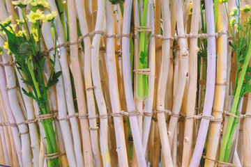 Fototapeta premium Thin branches are tied together with rope. Composition of yellow branches.