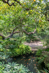 table and chairs in garden with fake fog in outdoor cafe