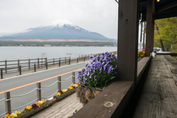 cafe restaurant balcony by lake Yamanakako with mount Fuji view