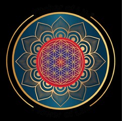 Flower of life at www.pitcheroflife.com