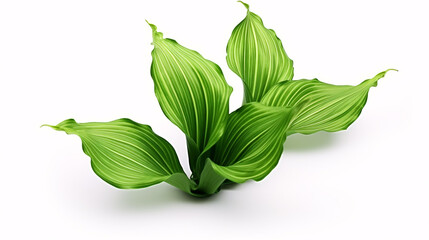 A lush, 3D-rendered green plantain is isolated against a gorgeous flowery backdrop. - obrazy, fototapety, plakaty