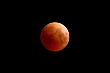 November 2022 Lunar Eclipse in the dark sky