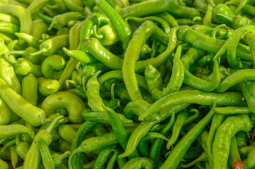 fresh green peppers at the market on the island of Cyprus in autumn 1