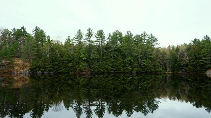Fototapeta na wymiar Forest reflected in a river
