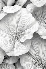 A bunch of purple mushrooms that are on the ground