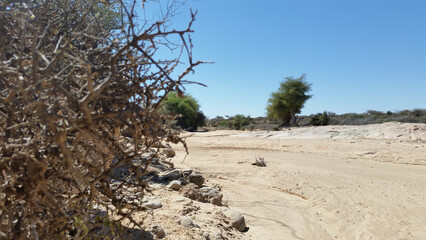 Laas Geel, Somalia
