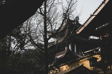 Scenic Chinese temple seen through branches of a leafless tree
