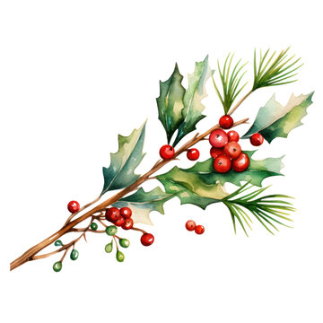 watercolor christmas decoration branch isolated