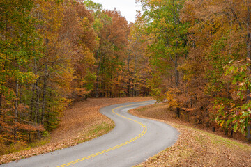 Natchez Trace Parkway road in Tennessee, USA during the fall season. The Natchez Trace Parkway is a national parkway in the Southeastern United States that commemorates the historic Natchez Trace  - obrazy, fototapety, plakaty