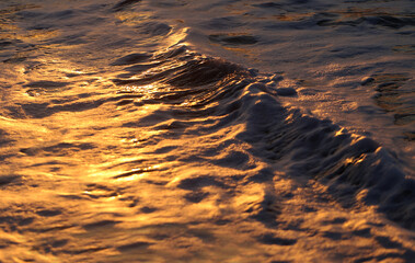 Photos of golden waves of the Black Sea - 676910445