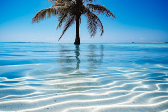 Palm tree shadow on blue ocean. Traveling in tropical sun. Colorful summer inspired background screensaver for computer.