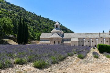 Cistercian Senanque Abbey - Gordes, France